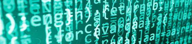 Screen of computer code